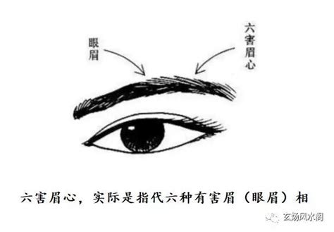 六害眉|【六害眉】六害眉千萬要小心！眉相暗藏不利運勢，一圖看懂避免。